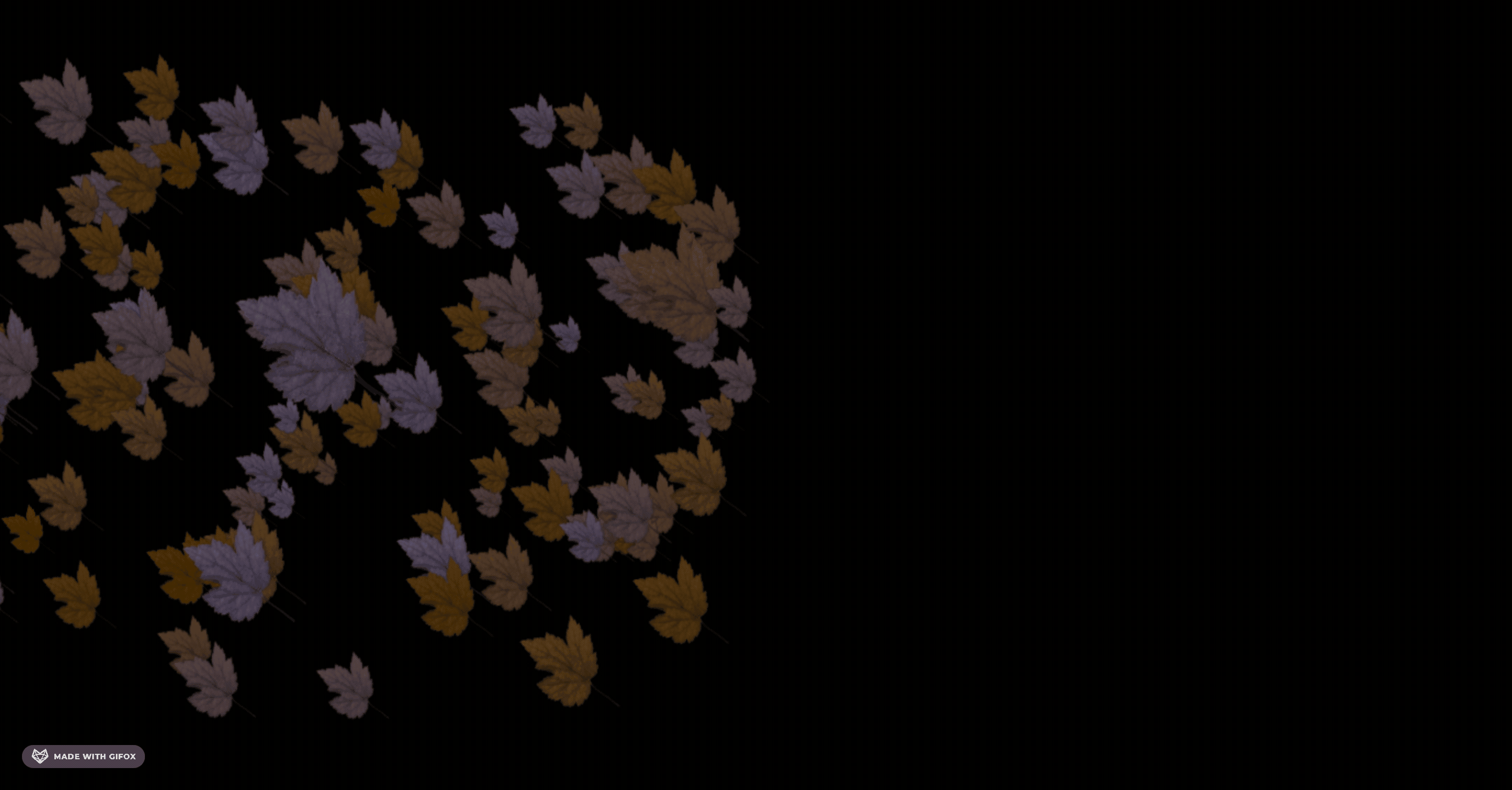 2025-06-05 09.30.19.gif
