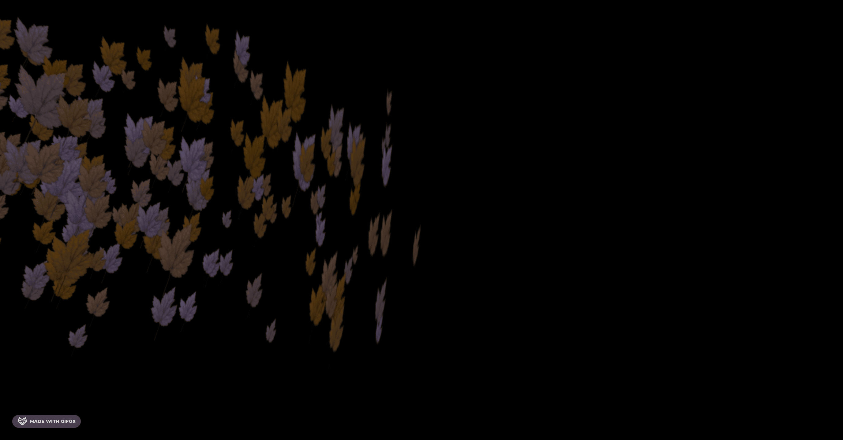 2025-06-05 09.36.03.gif