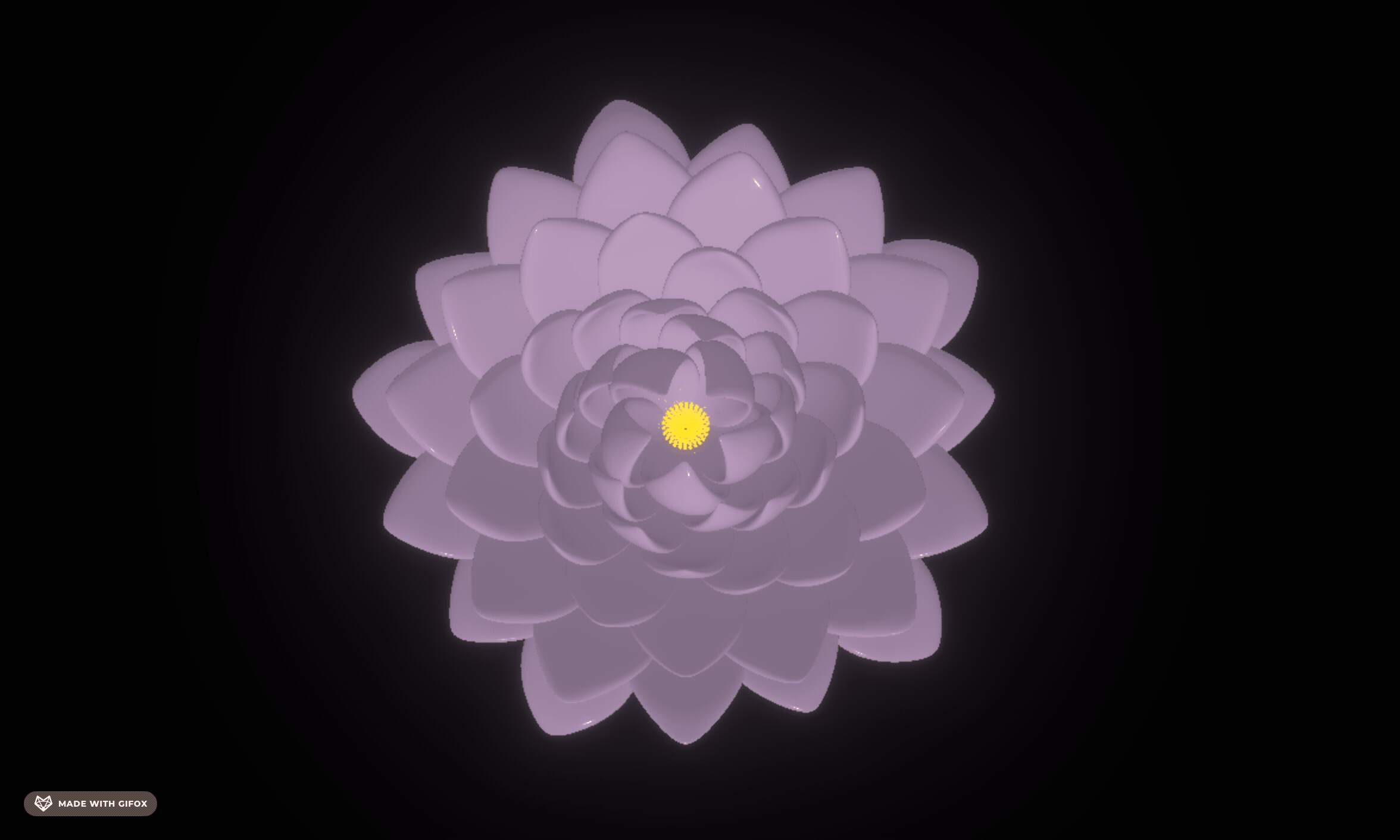 2025-08-11 15.29.34.gif