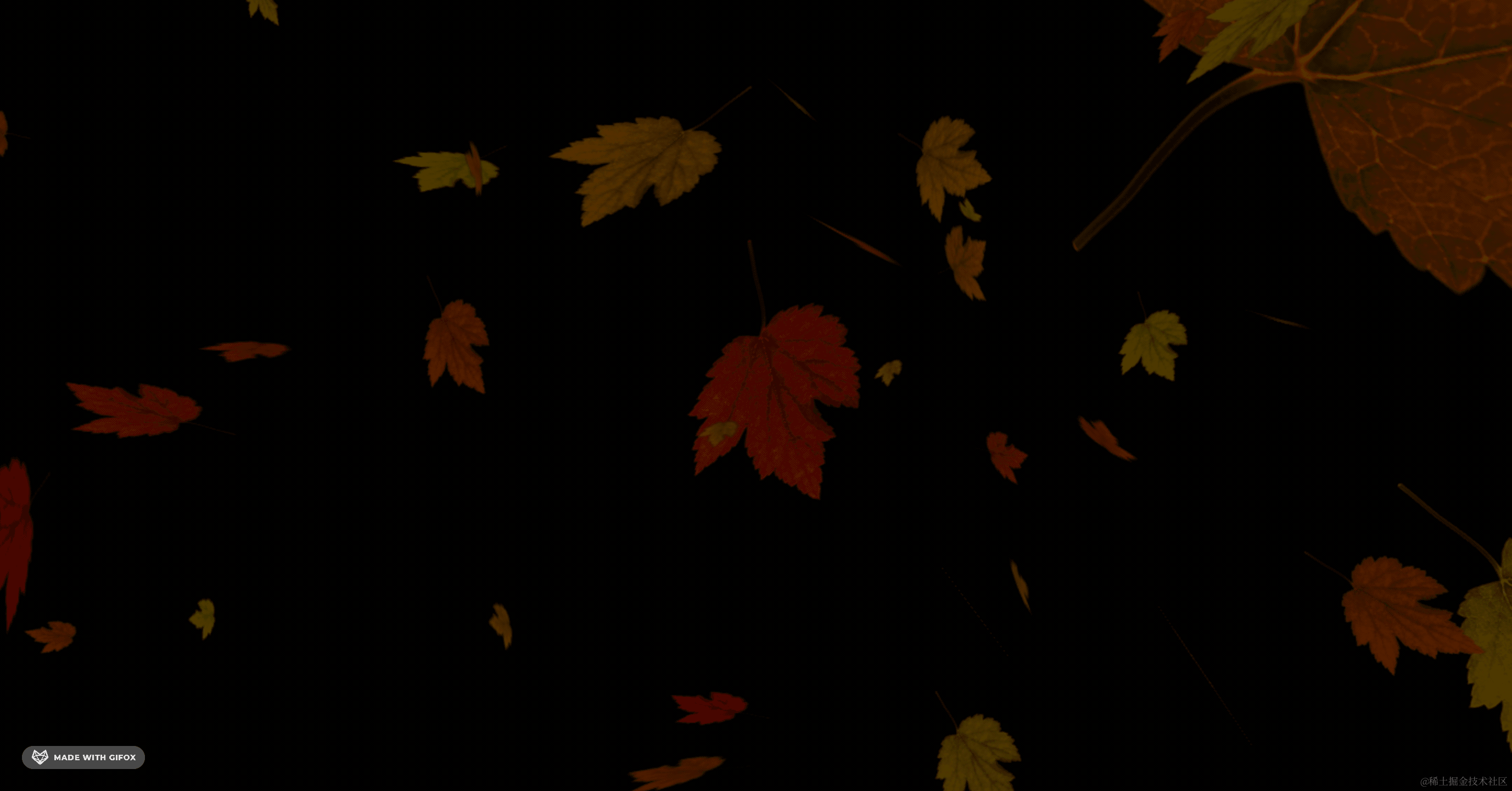 2025-06-05 10.03.41.gif