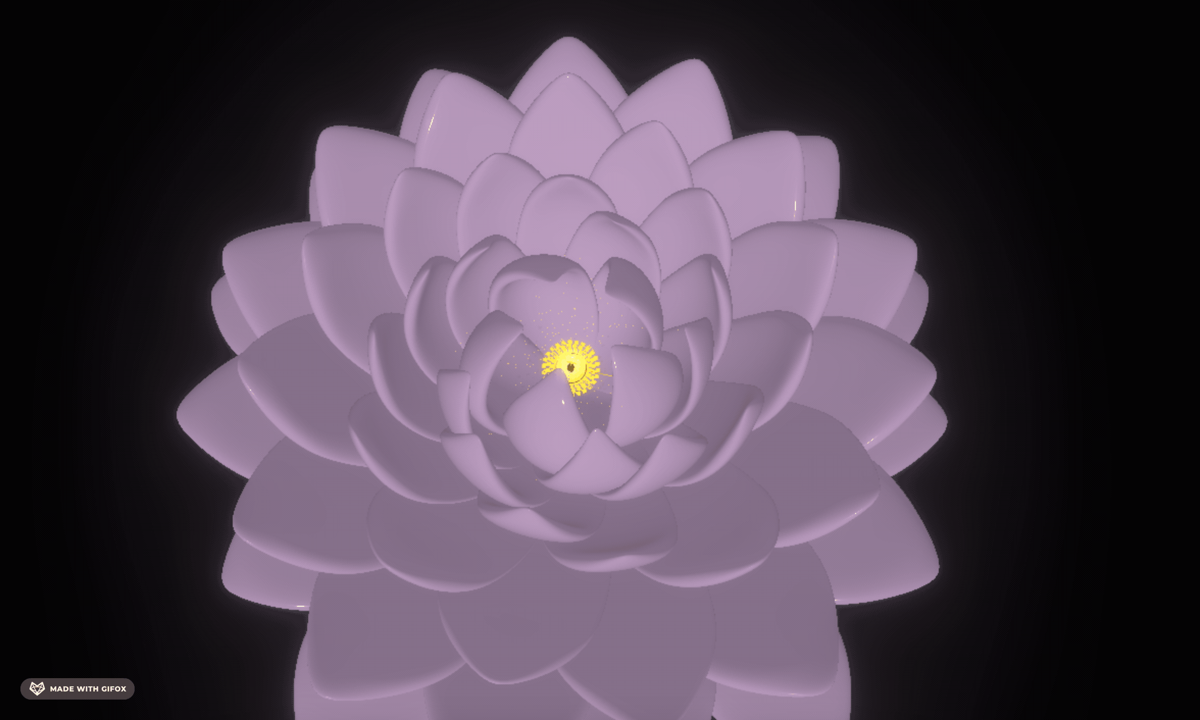 2025-08-11 12.42.54.gif